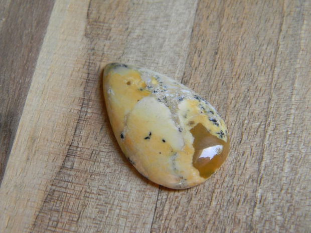 Caboson opal dendritic (C10)