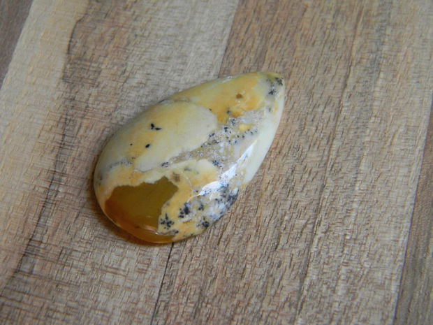 Caboson opal dendritic (C10)