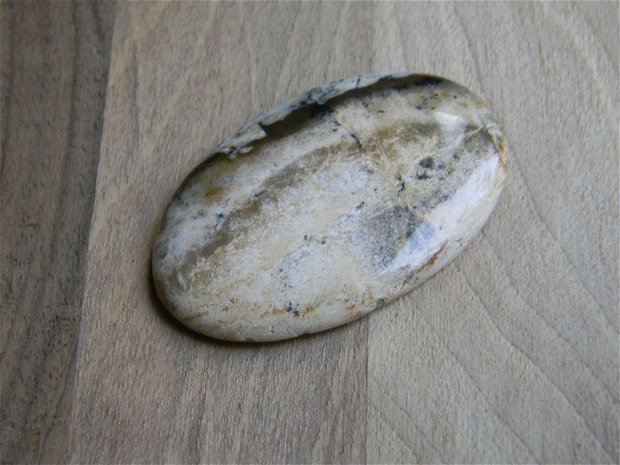 Caboson opal dendritic (C11)