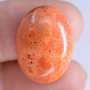 9256 - Cabochon, coral poros, rosu caramiziu, oval, 20x15x6mm