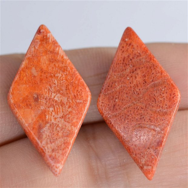 9551 - (2buc) Cabochon, coral poros, rosu caramiziu, romb, 30x16x6mm