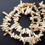 Lchips 34 - chips coral tepi