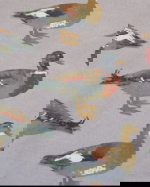 Cupon  panza cu rate salbatice