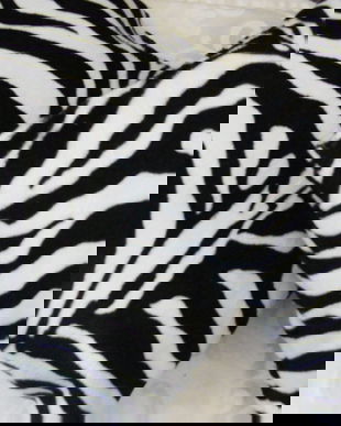 Set 2 perne model zebra