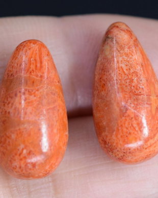 9261 - (2buc) Coral poros, caramiziu - orange, 20x10mm