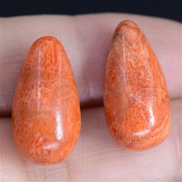 9261 - (2buc) Coral poros, caramiziu - orange, 20x10mm