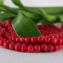 Coral 5mm (2)