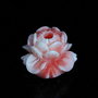 9613 - (2buc) Margele, turcoaz de sinteza, floare sculptata, somon, 14x14x9mm