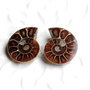 Set 2 jumatati pereche - Amonit fosil
