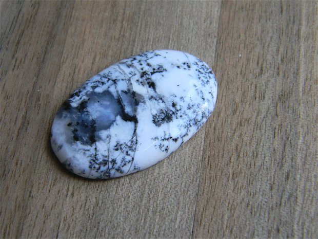 Caboson opal dendritic (C13)