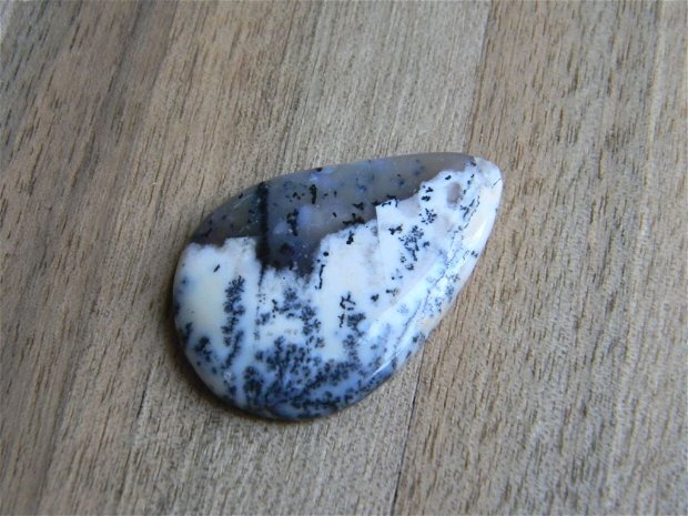 Caboson opal dendritic (C14)