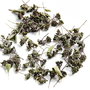 Flori uscate - mini inflorescente (nedeschise) - 50 buc - verde inchis
