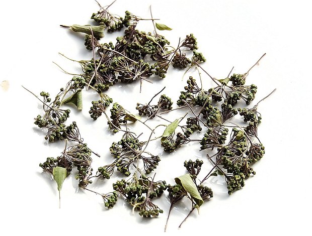 Flori uscate - mini inflorescente (nedeschise) - 50 buc - verde inchis