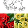 9682 - (100) Ace decorative, cap acril transparent fatetat