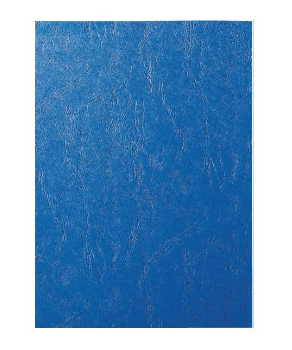 Carton color imitatie de piele-A4-albastru