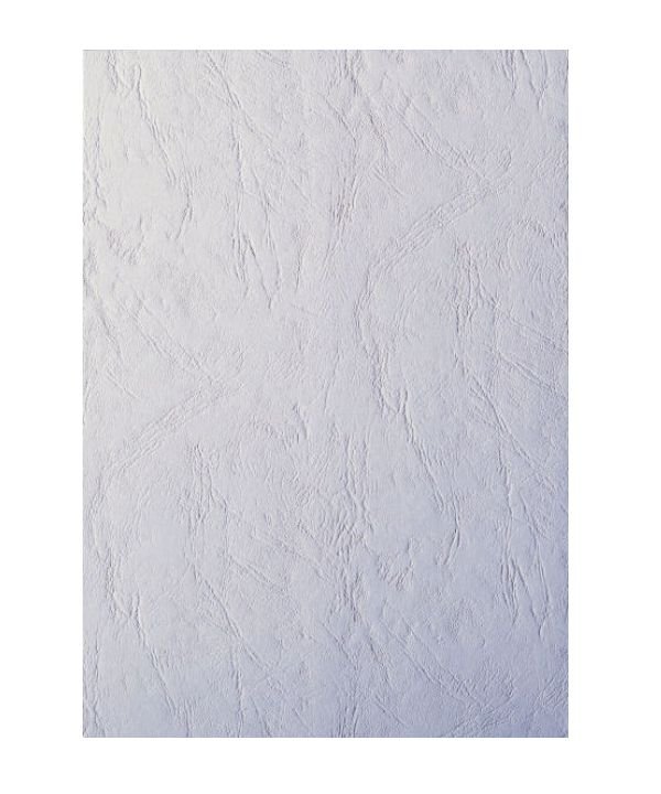 Carton color imitatie de piele-A4-alb