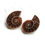 Set 2 jumatati pereche - Amonit fosil -
