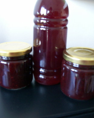 SCHISANDRA, COACAZE SI ZMEURA- NOU