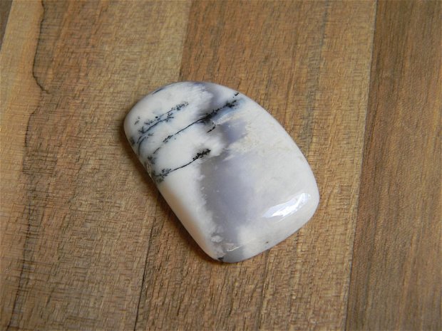 Caboson opal dendritic (C16)