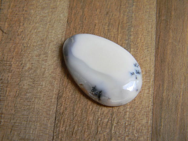 Caboson opal dendritic (C16)