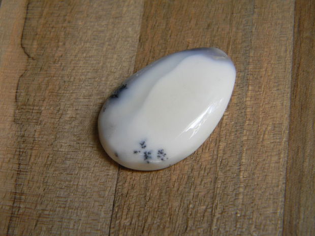 Caboson opal dendritic (C16)