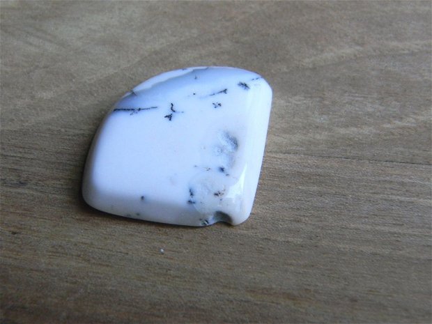 Caboson opal dendritic (C17)