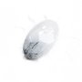 Cabochon Quartz turmalinat oval