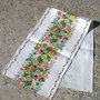 Broderie 1-526