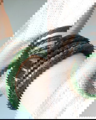 SET Bratari piele sarpe