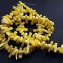 Lchips 57 - chips coral tepi