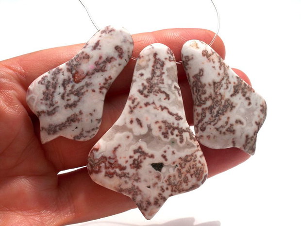Agate mexico crazy lace
