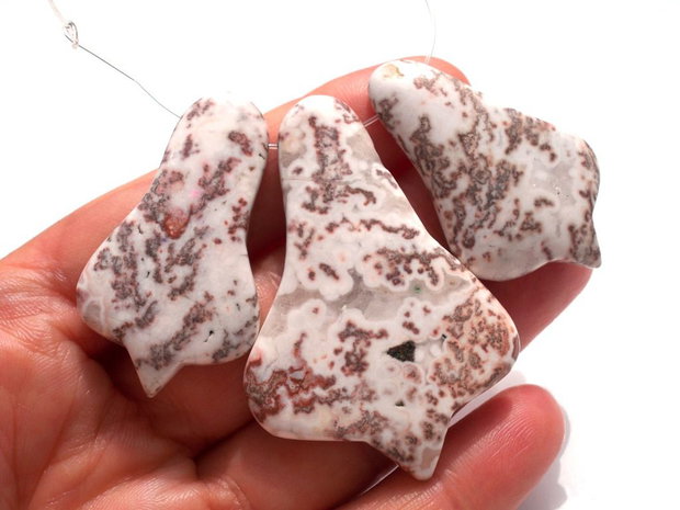 Agate mexico crazy lace
