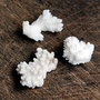 Coral alb poros - ramurele - fragmente - 3buc - L038