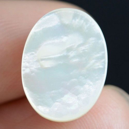 9304 - Cabochon, sidef / mother of pearl, 16x12x7mm