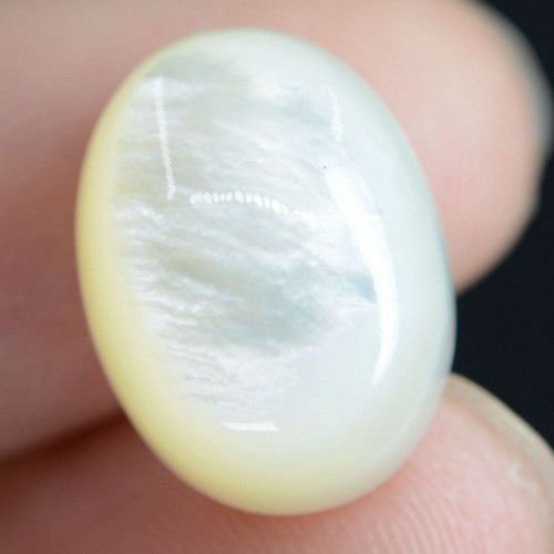 9304 - Cabochon, sidef / mother of pearl, 16x12x7mm
