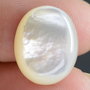 9567 - Cabochon, sidef / mother of pearl, 16x13x4mm