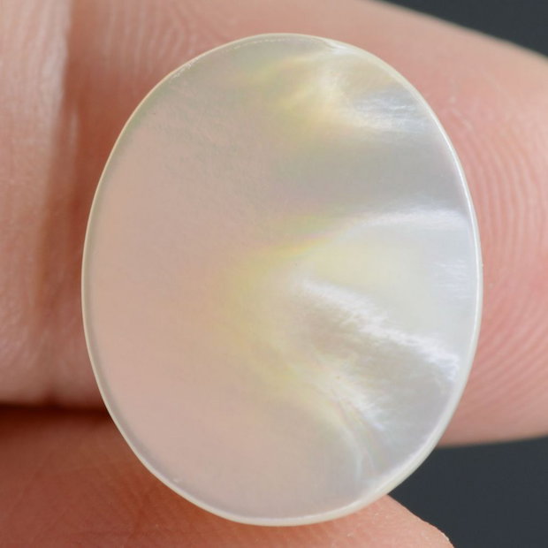 9567 - Cabochon, sidef / mother of pearl, 16x13x4mm