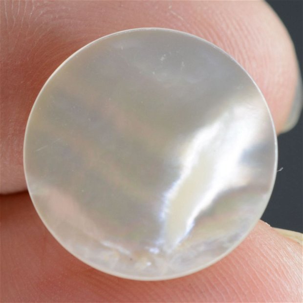 9566 - Cabochon, sidef / mother of pearl, 16x16x4mm