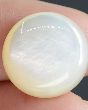9566 - Cabochon, sidef / mother of pearl, 16x16x4mm