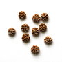 Cabochon rasina