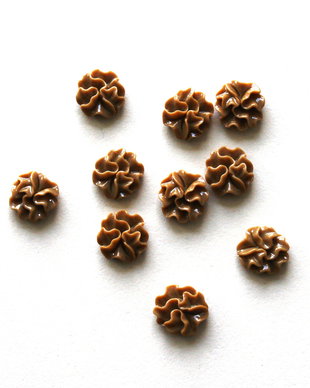 Cabochon rasina