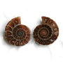 Set 2 jumatati pereche - Amonit fosil
