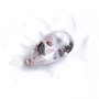 Lodolit natural - rutile - lacrima  neregulata, rulata