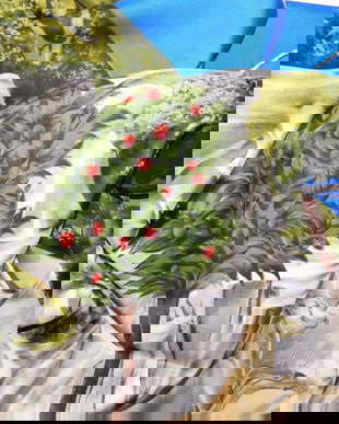 SALVATORE FERRAGAMO , ESARFA  VINTAGE   SERIE RARA , MATASE NATURALA