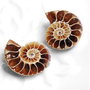 Set 2 jumatati pereche - Amonit fosil - AMG009