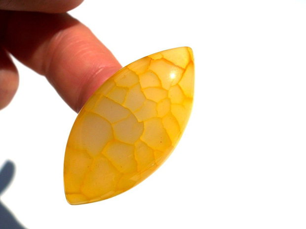 Cabochon agat dragon veins