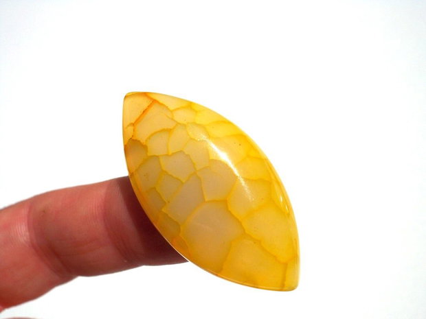 Cabochon agat dragon veins