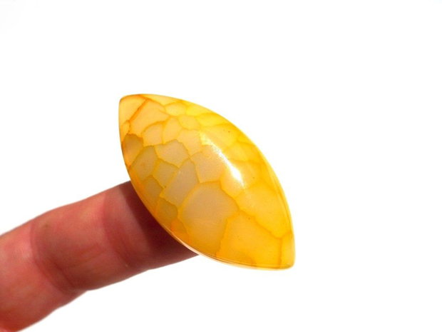 Cabochon agat dragon veins