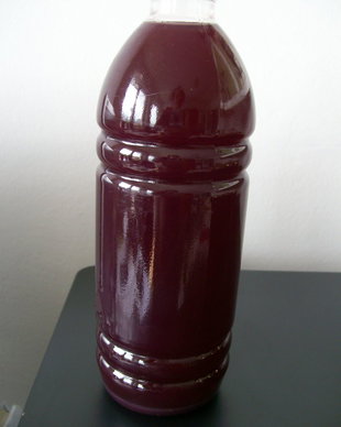 SIROP DE MERISOR cu stevie dulce - NOU