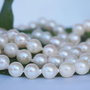 Perle cultura 8mm, cod ID52 (1)